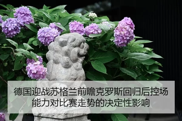 德国迎战苏格兰前瞻克罗斯回归后控场能力对比赛走势的决定性影响